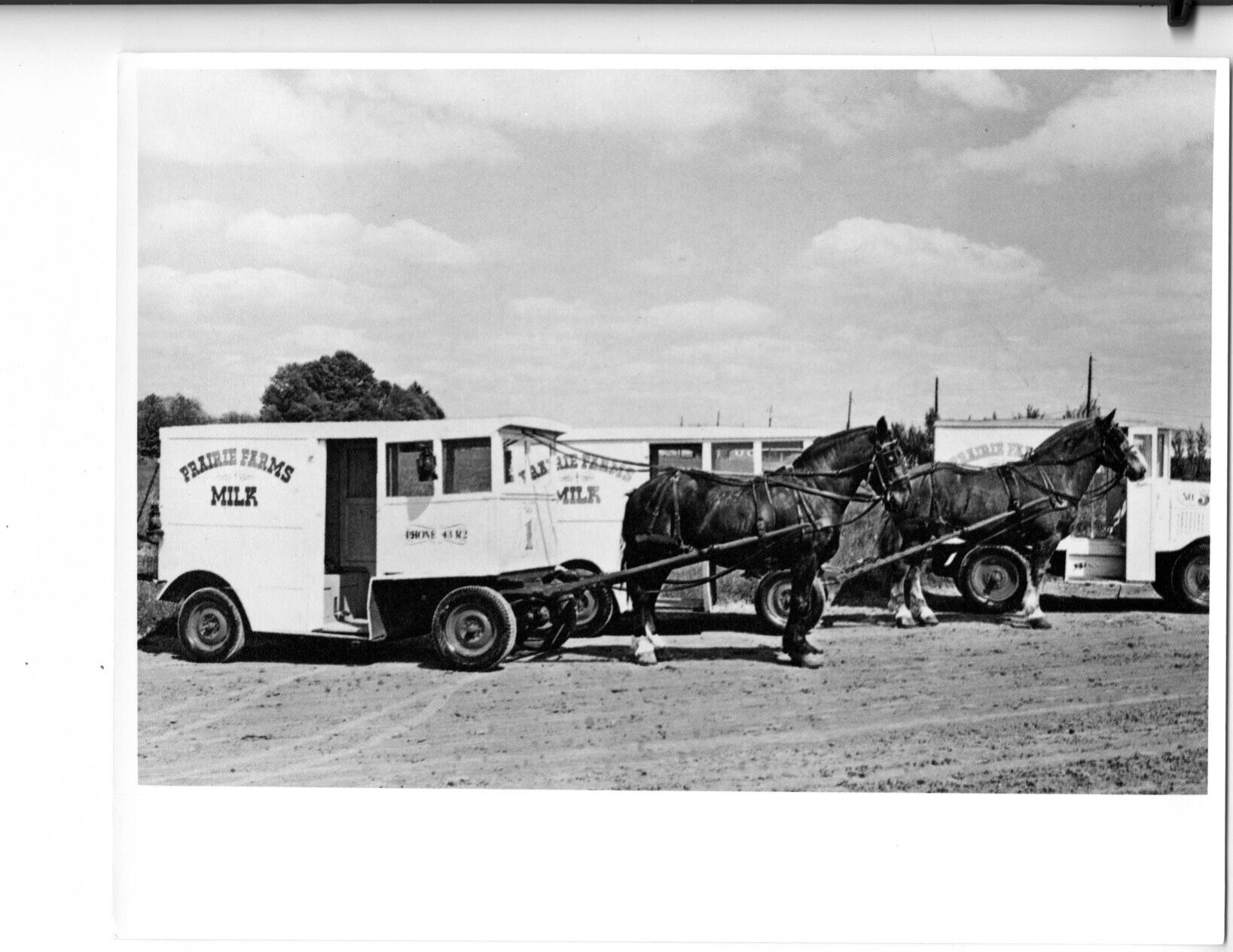 Prairie Farms Horse Cart